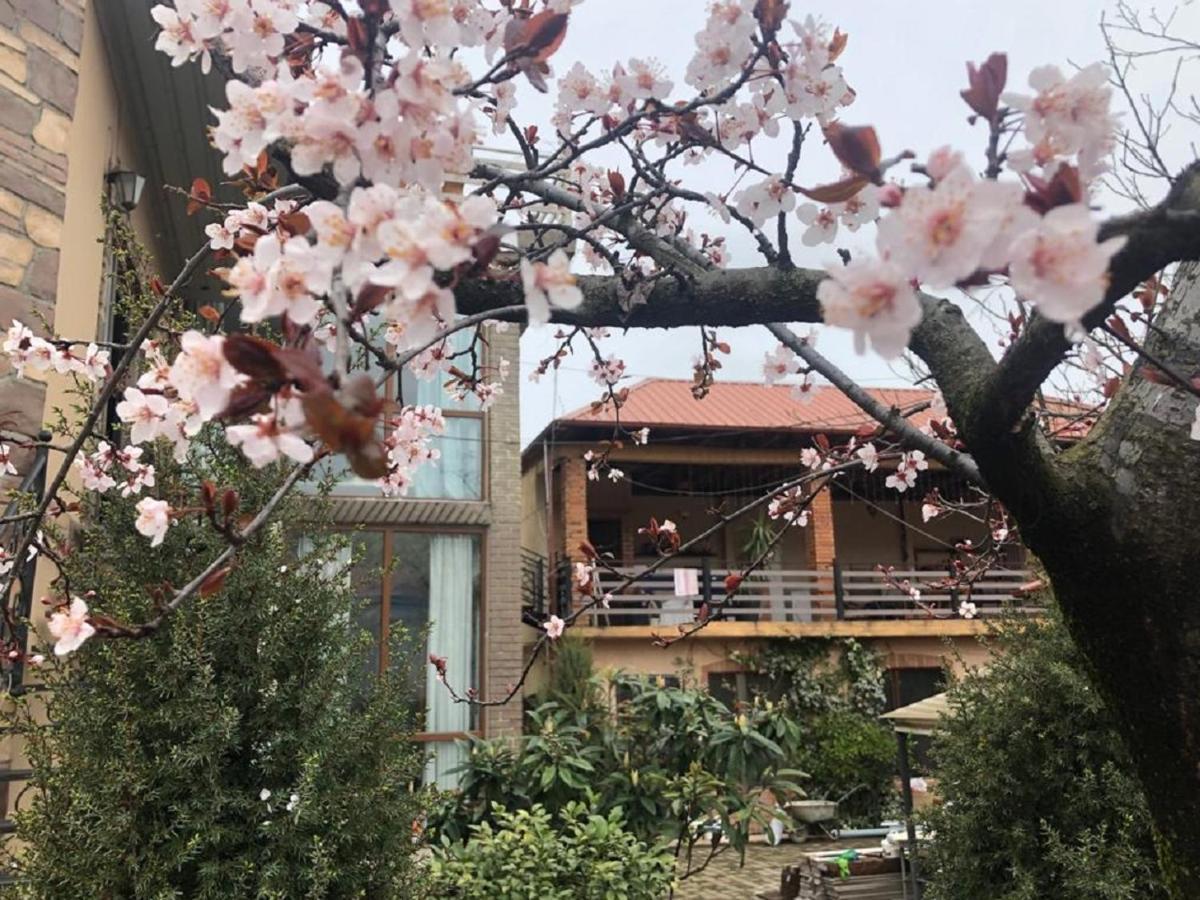 Batumi Wonderland Guest House 外观 照片